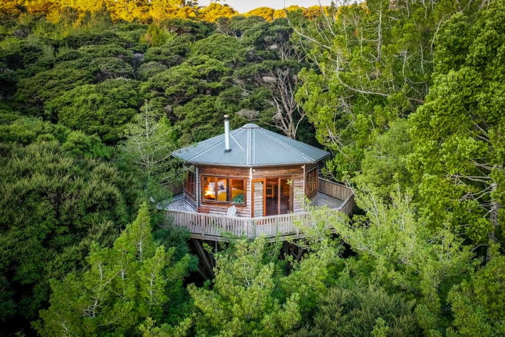 The Ultimate Forest Escape - A Spectacular Treehouse Airbnb