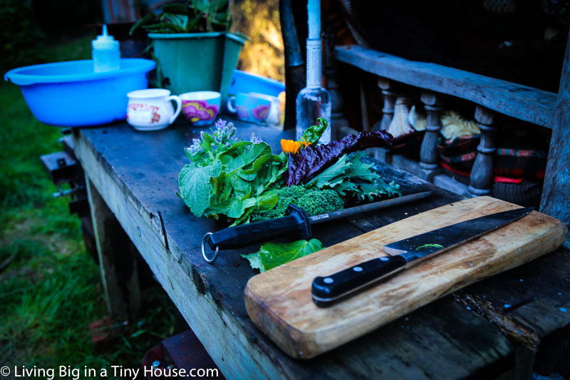 THE DEN IN THE FOREST - OUTDOOR COOKING