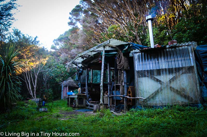 THE DEN IN THE FOREST