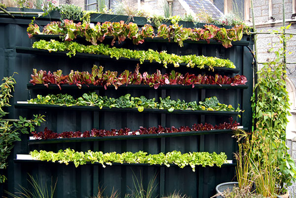 Vertical Gutter Garden