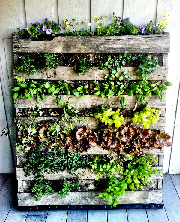 Pallet Garden