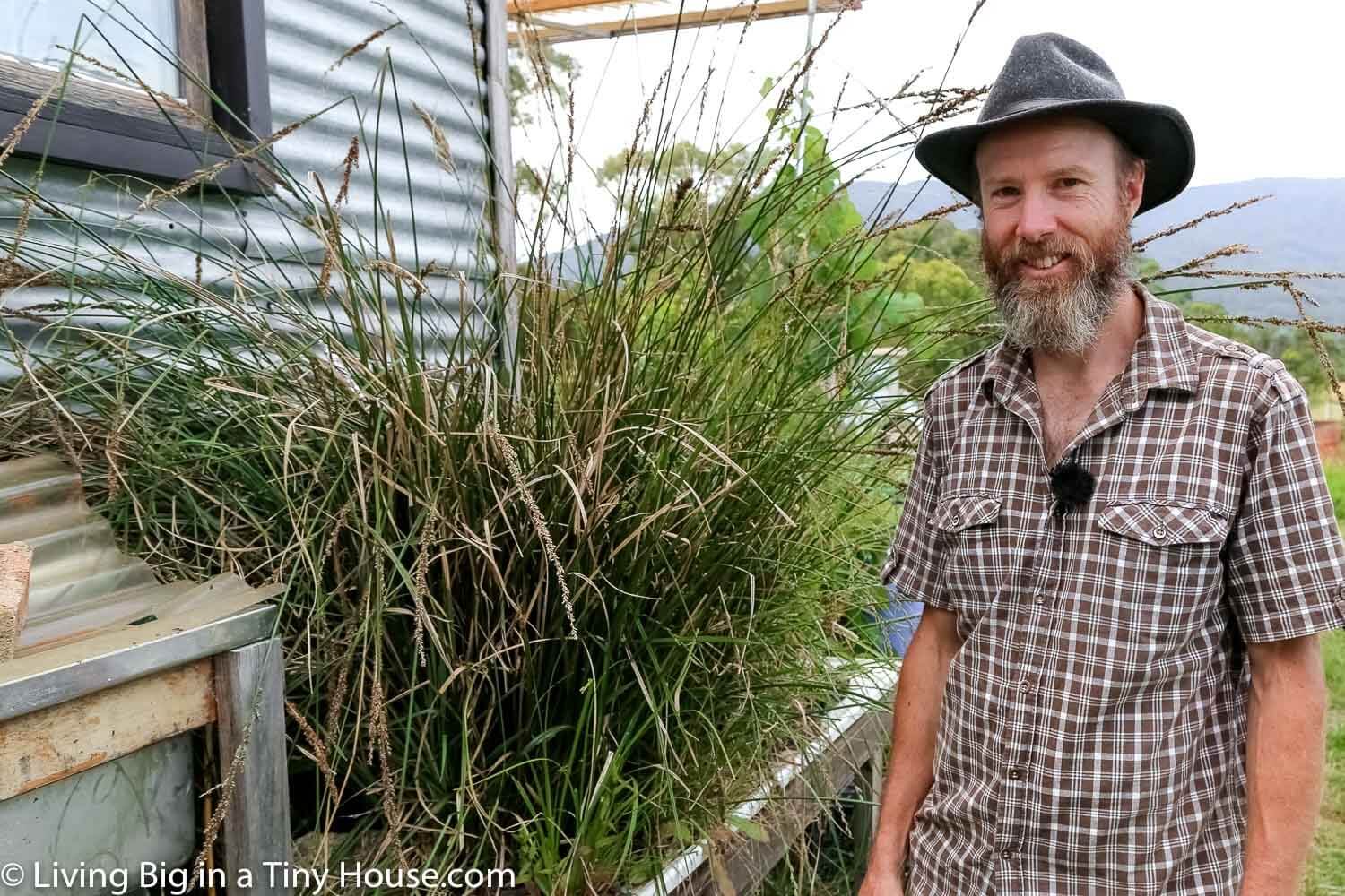 DIY Off-Grid Greywater: Murray's Tiny House Micro-Wetland