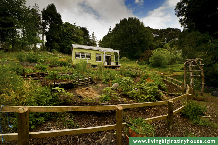 Tiny House Gardens