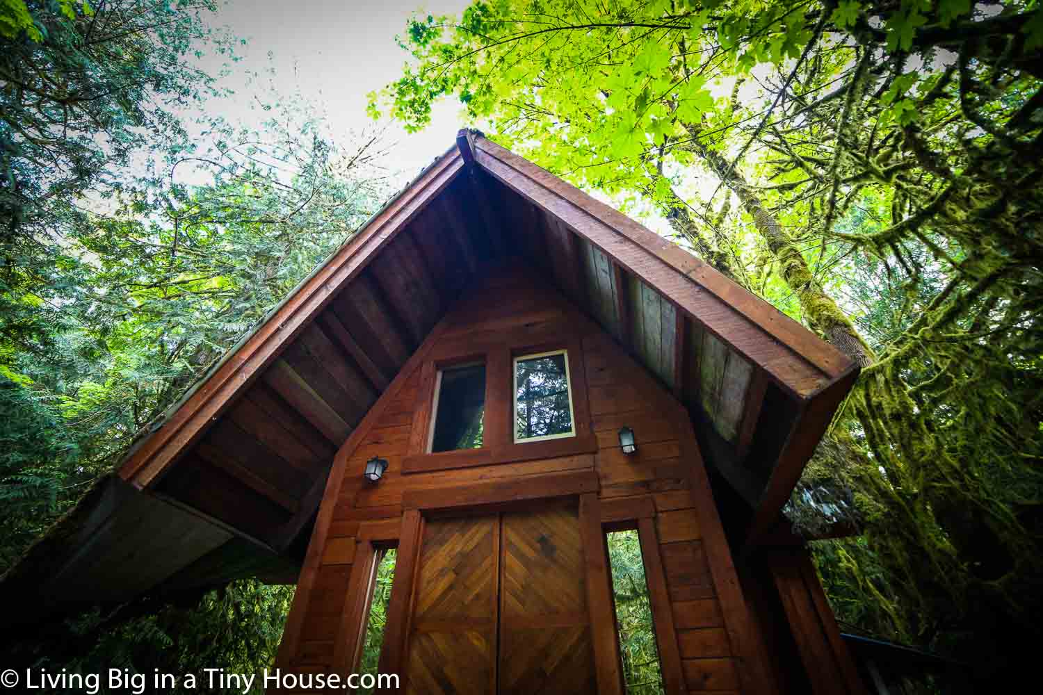 Little house in on sale the forest watch online