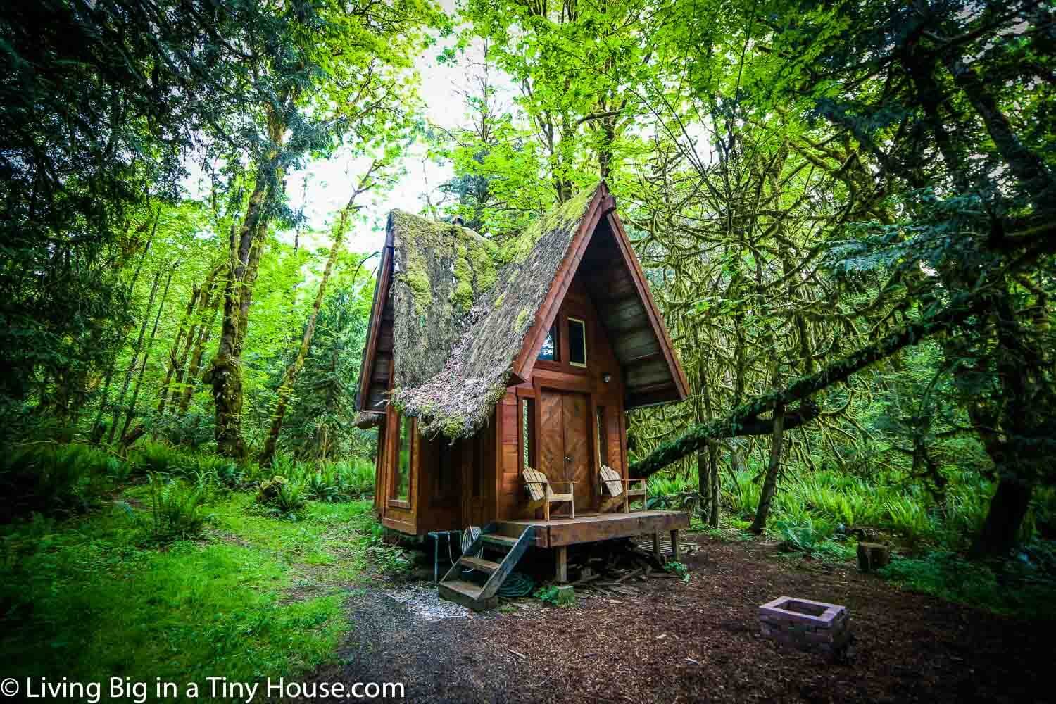 Living Big in a Tiny  House  This Enchanting Cabin in the Forest  Will Leave You Breathless