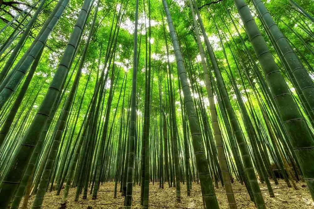 The Top 5 Most Sustainable Materials To Consider When Building A Home