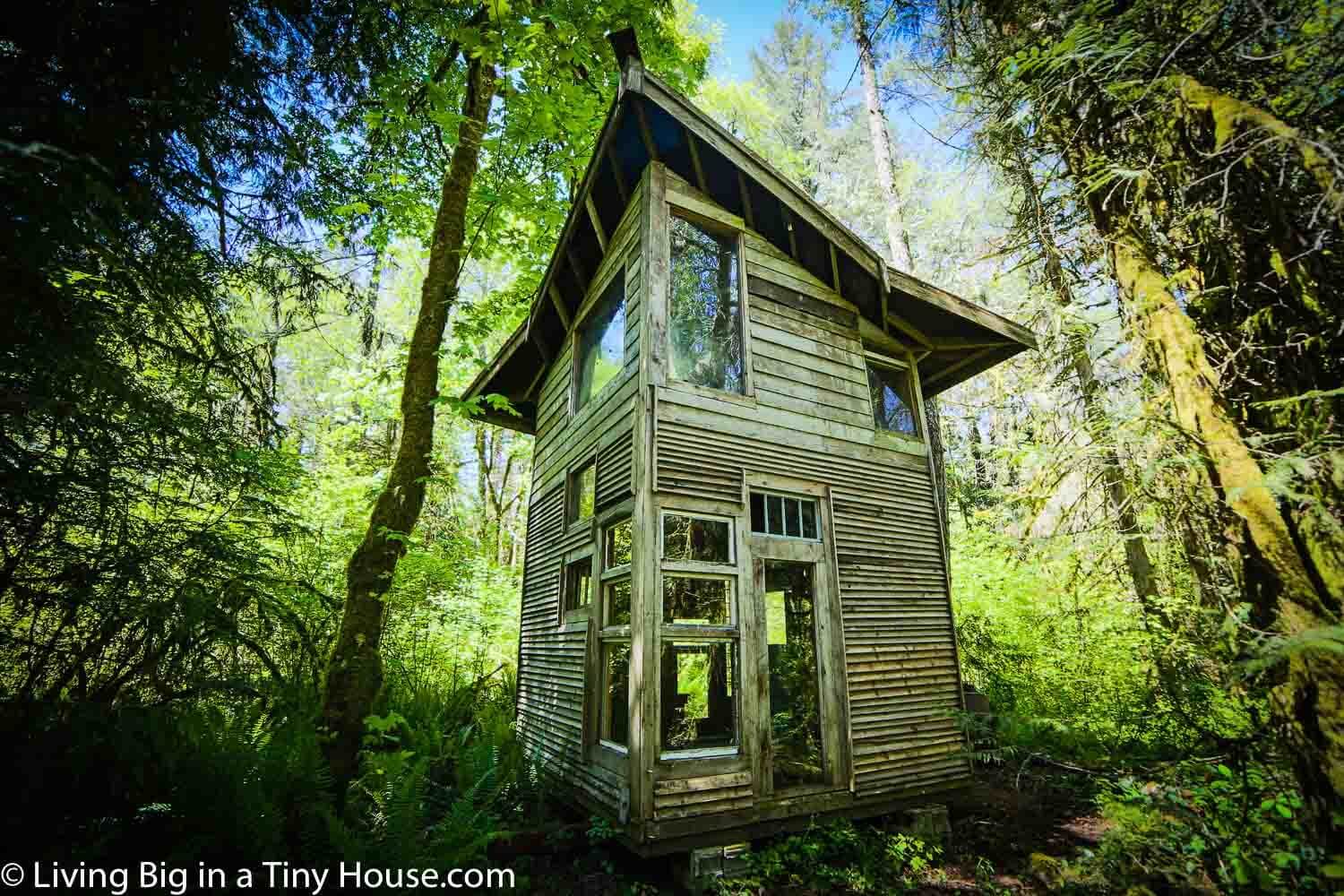 Forest Cabin Built From Salvaged Materials Cost Only $800!