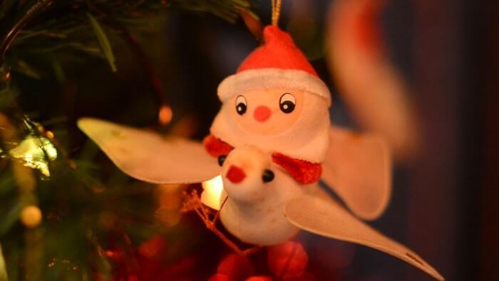 Merry Christmas & Thank-You! Merry Christmas & Thank-You!
