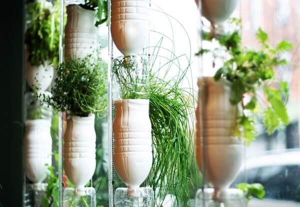 Growing Food in Small Spaces Growing Food in Small Spaces