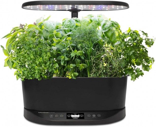 AeroGarden Indoor Hydroponic Herb Garden