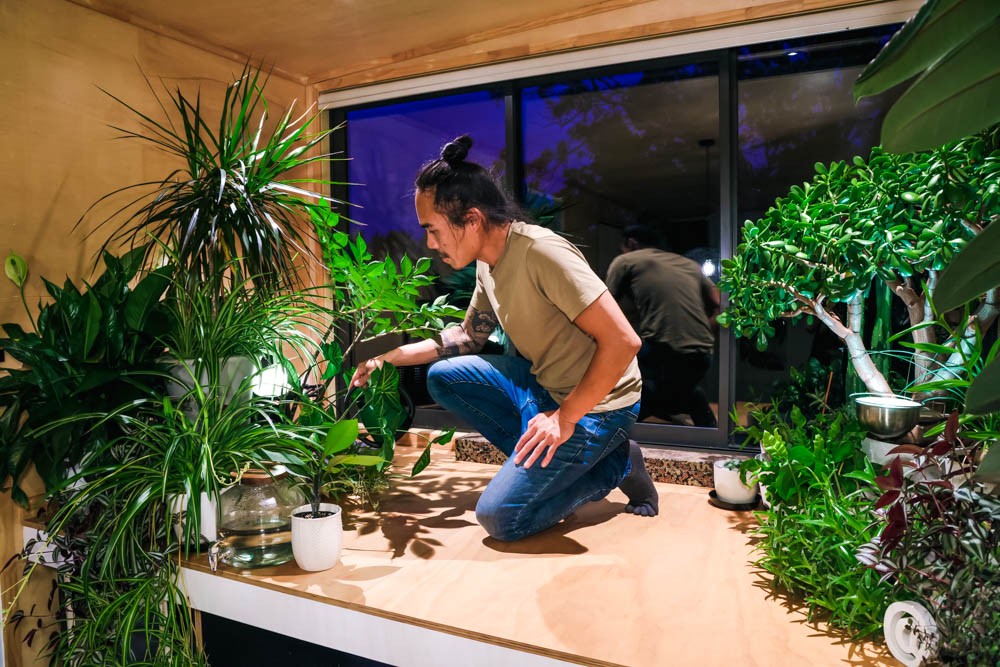 A Tiny House Like A Zen Forest A Tiny House Like A Zen Forest